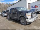 2021 Ford F-150 Xl Blue vin: 1FTFW1E56MFC83588