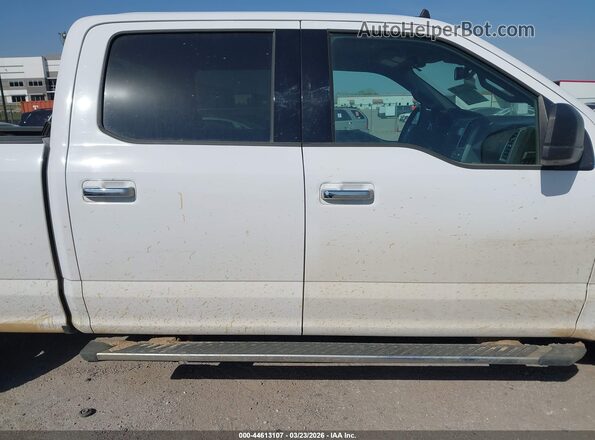 1FTFW1E57LKE36680 2020 FORD F150 Белый Вид задней части салона