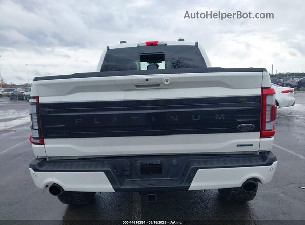 1FTFW1E87PFA14384 2023 FORD F150 Белый 