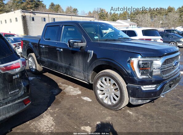 1FTFW1E8XMFB55073 2021 FORD F150 Blue Вид задньої частини салону