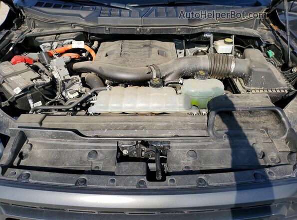 1FTFW1ED1NFB54750 2022 FORD F150 Серый Вид задней части салона