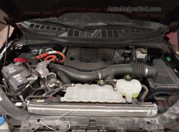 1FTFW1ED2NFA15808 2022 FORD F150 Темно-бордовый Вид сзади
