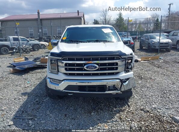 1FTFW1ED2PFA57964 2023 FORD F150 Белый Вид задней части салона