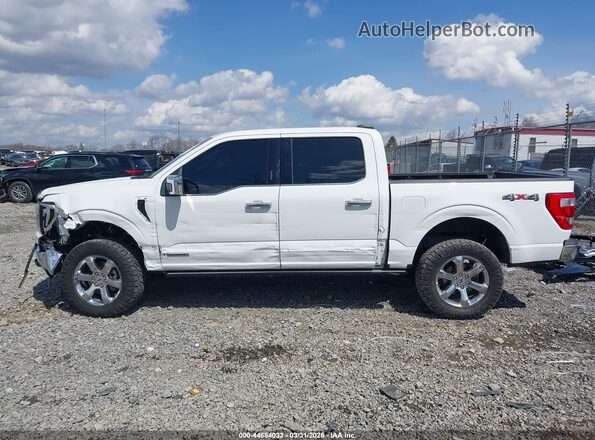 1FTFW1ED2PFA57964 2023 FORD F150 Белый 