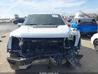 2023 Ford F-150 Raptor Белый vin: 1FTFW1RG4PFD13915