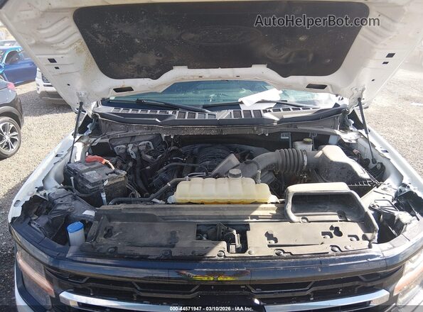 1FTFW3L57RKD57369 2024 FORD F150 Белый Вид сзади