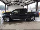 2024 Ford F-150 Xlt Черный vin: 1FTFW3L84RKD30995