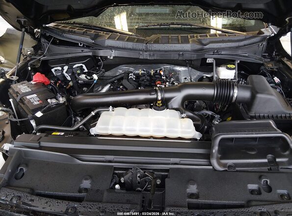 1FTFW3L84RKD30995 2024 FORD F150 Черный Вид сзади