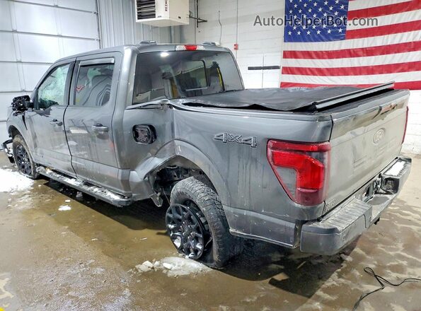 1FTFW3LD6SFA06765 2025 FORD F150 Серый Задняя левая четверть