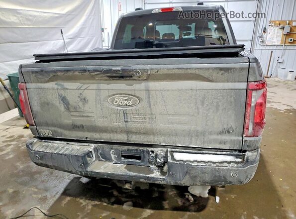 1FTFW3LD6SFA06765 2025 FORD F150 Серый Вид сзади