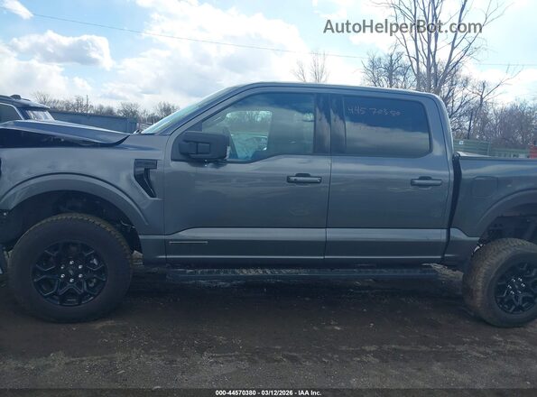 1FTFW3LD7SFC22317 2025 FORD F150 Серый Панорамный вид салона 360°