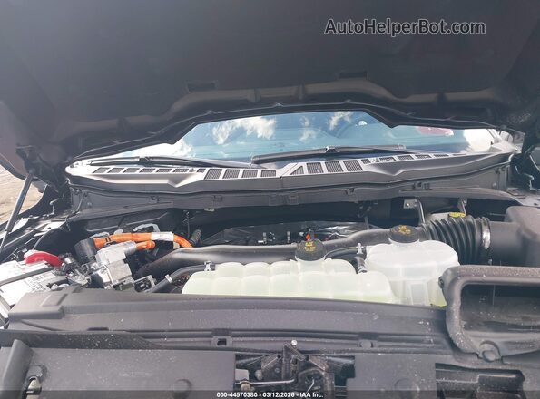 1FTFW3LD7SFC22317 2025 FORD F150 Серый Вид сзади