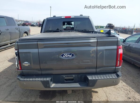 1FTFW6LD8SFC39421 2025 FORD F150 Серый 