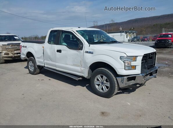 1FTFX1EF3GFD15147 2016 FORD F150 Белый Передняя правая четверть