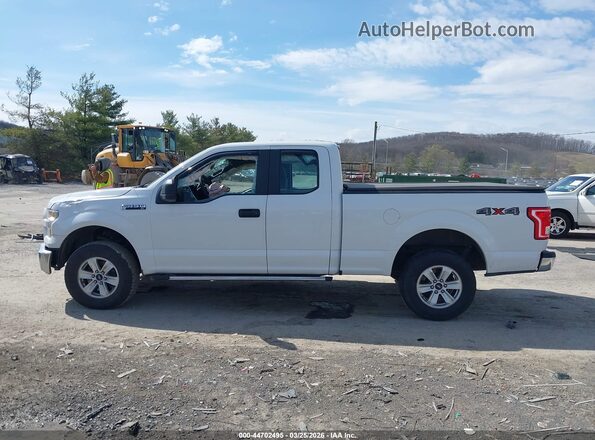 1FTFX1EF3GFD15147 2016 FORD F150 Белый 