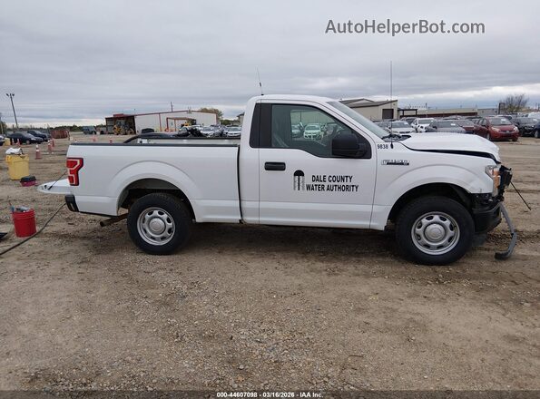 1FTMF1CB5LFB69838 2020 FORD F150 Белый Вид задней части салона
