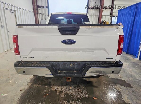 1FTMF1EP9JKD24016 2018 FORD F150 Белый Вид сзади