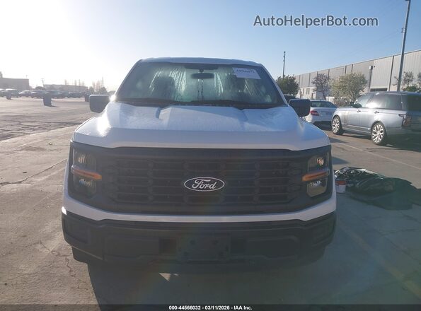 1FTMF1KP9RKF05441 2024 FORD F150 Белый Вид задней части салона