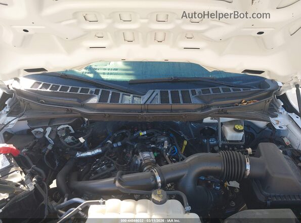 1FTMF1KP9RKF05441 2024 FORD F150 Белый Вид сзади