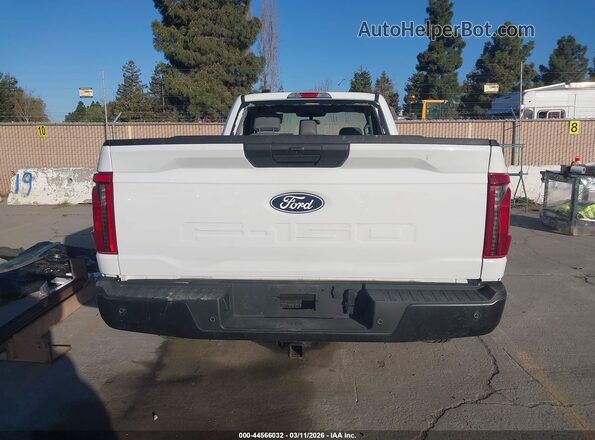 1FTMF1KP9RKF05441 2024 FORD F150 Белый 