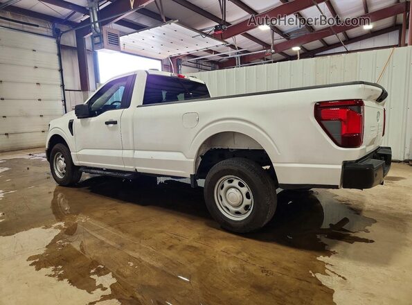 1FTMF1LP7RKE72051 2024 FORD F150 Белый Задняя левая четверть