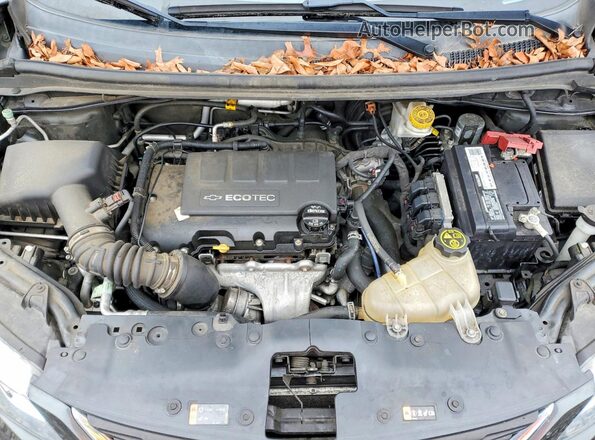 1G1JB5SB7K4147379 2019 CHEVROLET SONIC Серый Вид задней части салона