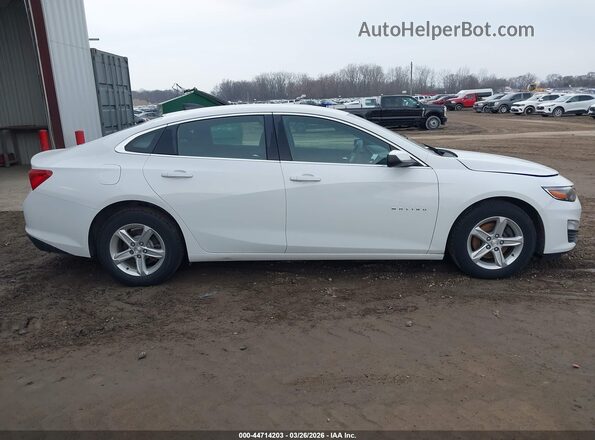1G1ZC5ST3KF169098 2019 CHEVROLET MALIBU Белый Вид задней части салона