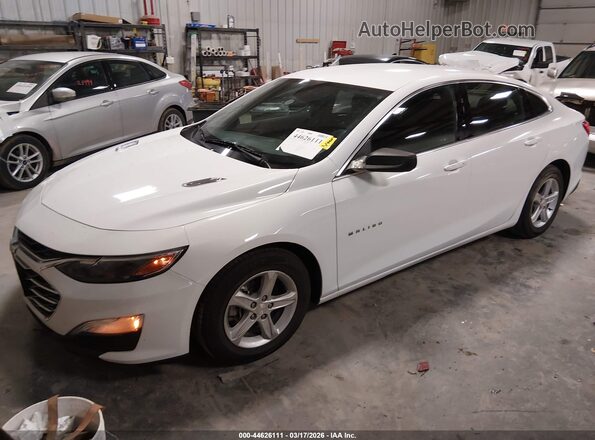 1G1ZC5ST4LF055130 2020 CHEVROLET MALIBU Белый Передняя левая четверть