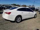 2019 Chevrolet Malibu Lt Белый vin: 1G1ZD5ST0KF227956