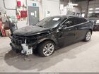 2024 Chevrolet Malibu Fwd 1lt Black vin: 1G1ZD5ST2RF168841