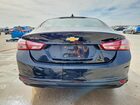 2019 Chevrolet Malibu Lt Черный vin: 1G1ZD5ST8KF143710