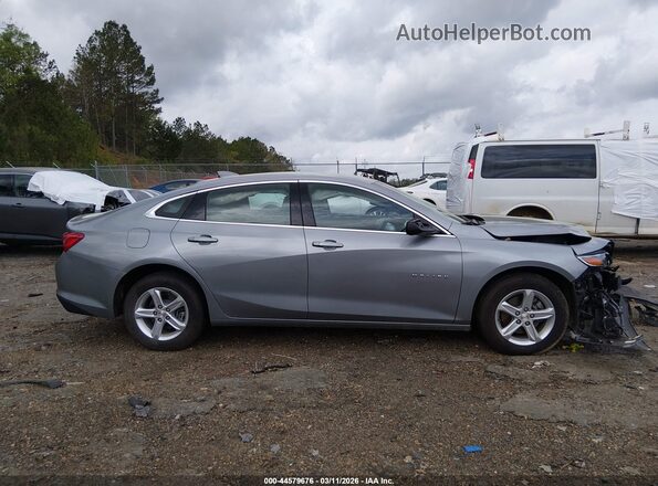 1G1ZD5ST8RF181741 2024 CHEVROLET MALIBU Серый Вид задней части салона