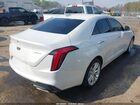 2024 Cadillac Ct4 Luxury White vin: 1G6DA5RK4R0126927