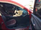 2023 Cadillac Ct4 Sport Темно-бордовый vin: 1G6DC5RK7P0118599