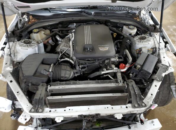 1G6DF5RK4L0154025 2020 CADILLAC CT4 Белый Вид задней части салона