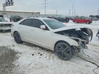 2024 Cadillac Ct4 Sport Белый vin: 1G6DG5RK4R0101587