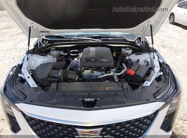 1G6DN5RK2S0103253 2025 CADILLAC CT5 White Widok z tyłu