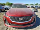 2023 Cadillac Ct5 Premium Luxury Burgundy vin: 1G6DN5RW1P0121379