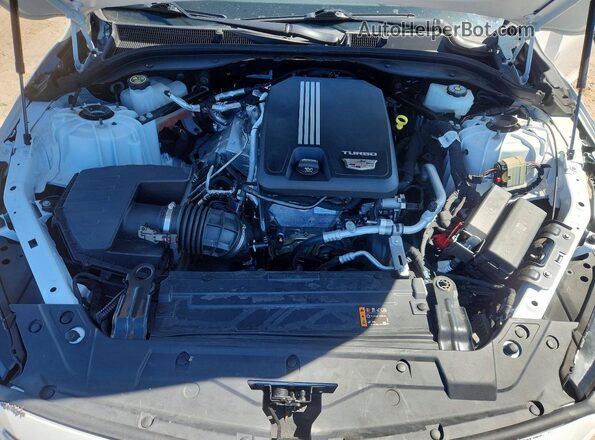 1G6DP5RK5N0128338 2022 CADILLAC CT5 Белый Вид задней части салона