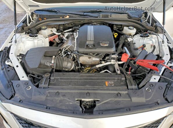 1G6DT5RK5R0102503 2024 CADILLAC CT5 Белый Вид задней части салона