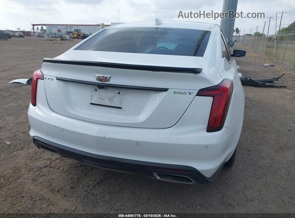 1G6DW5RK1P0118377 2023 CADILLAC CT5 Белый 