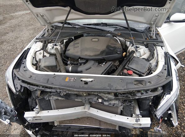 1G6KB5RS1KU122126 2019 CADILLAC CT6 Белый Вид сзади