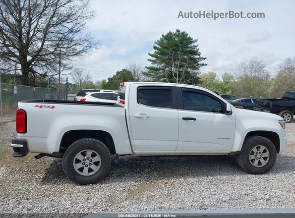 1GCGTBEN2K1249368 2019 CHEVROLET COLORADO Белый Вид задней части салона