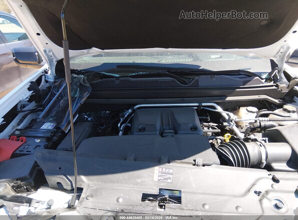 1GCPTFEK6S1207007 2025 CHEVROLET COLORADO Белый Вид сзади