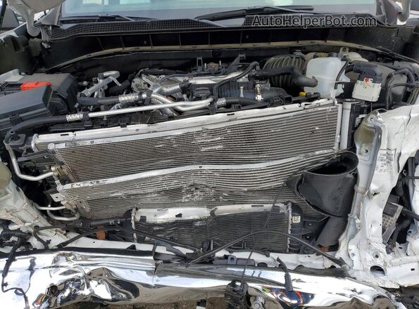 1GCUKGE89SZ117237 2025 CHEVROLET SILVERADO Белый Вид задней части салона