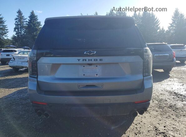 1GNS6PRD1SR170976 2025 CHEVROLET TAHOE Gray უკანა ხედი