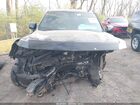2023 Chevrolet Tahoe 4wd Commercial Fleet Black vin: 1GNSKLED0PR318925