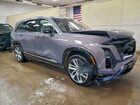2026 Cadillac Vistiq Luxury Фиолетовый vin: 1GYC3KML7TZ705960