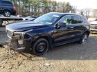 2025 Cadillac Xt4 Premium Luxury Черный vin: 1GYFZDR49SF152494