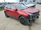 2019 Cadillac Xt4 Sport Red vin: 1GYFZFR44KF188671